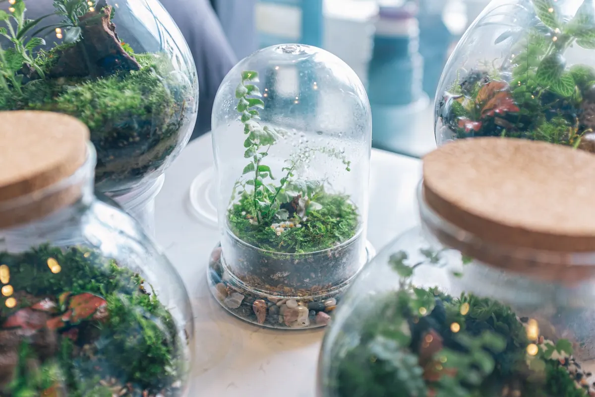 Seasonal Indoor Moss Garden Calendar for the UK